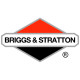 Двигатели Briggs-Stratton в Южноуральске Двигатели Briggs-Stratton в Южноуральске