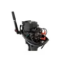 Мотор Gladiator G9,9FHS в Южноуральске